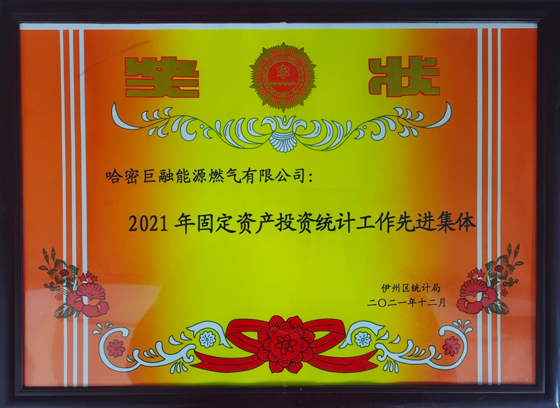 2021年固定資產投資統(tǒng)計工作先鋒集體